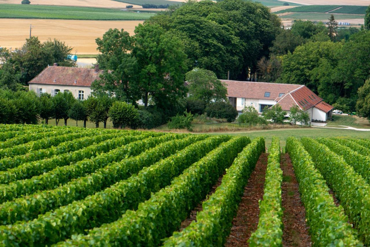 Sermiers L' Ecrin Des Vignes Bed & Breakfast エクステリア 写真